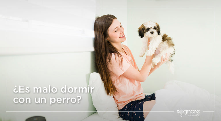 ¿Es malo dormir con un perro?