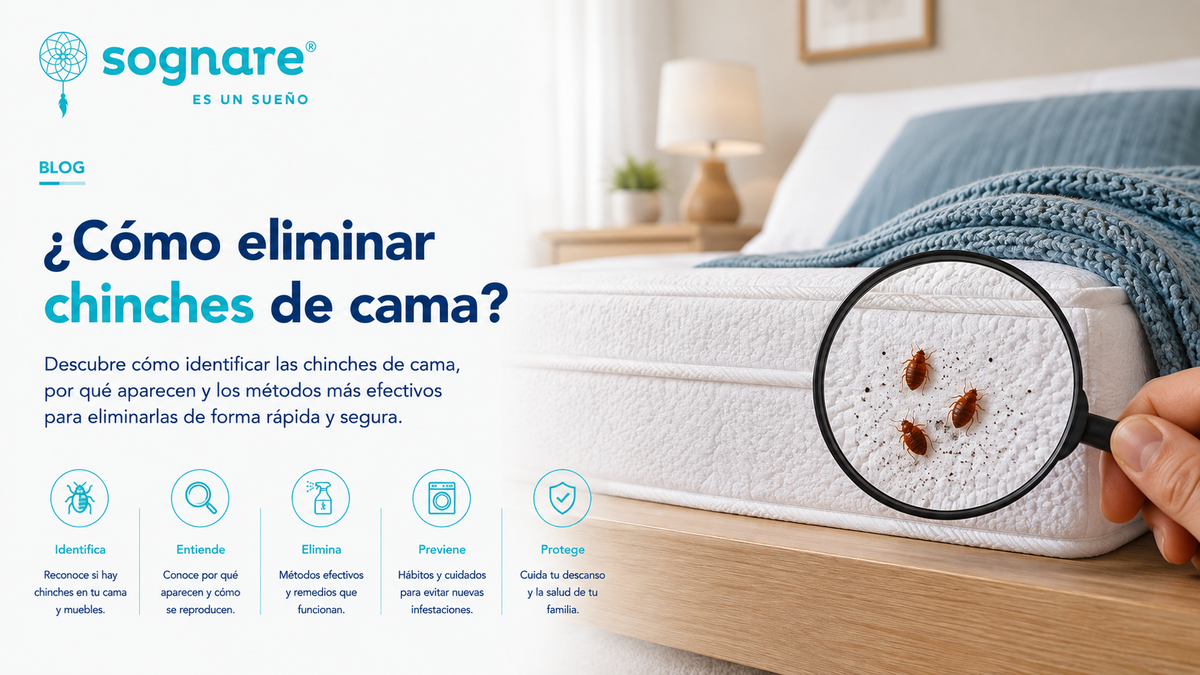 ¿Cómo eliminar chinches de cama naturalmente y rápido?
