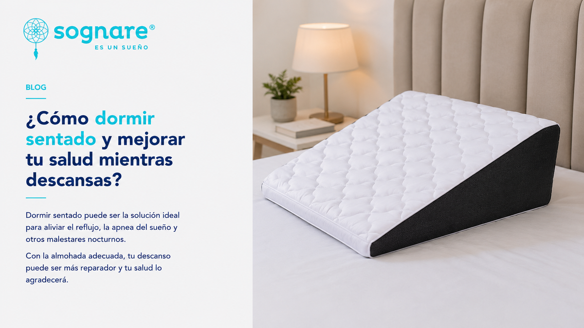 Almohada para dormir sentado: Comodidad y salud con Sognare TruComfort