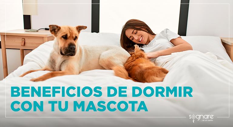Beneficios de dormir con tu mascota