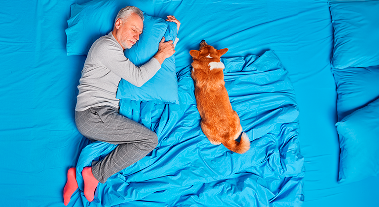 4 Razones por las que tu perro despierta llorando