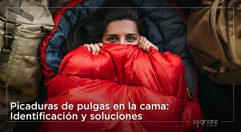 Picaduras de Pulgas en la Cama: Identificación y Soluciones