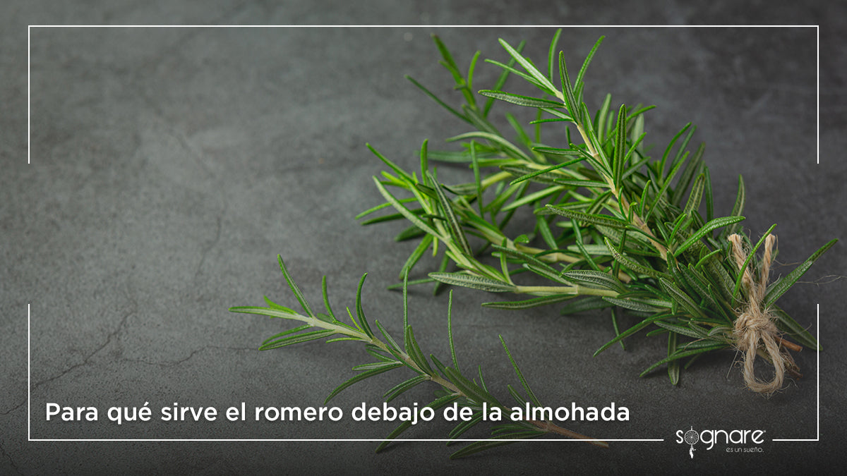 ¿Para qué sirve el romero debajo de la almohada?