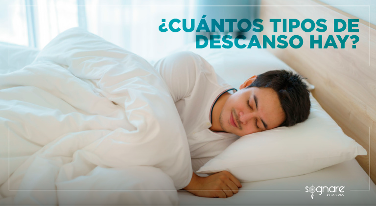 ¿Cuántos tipos de descanso hay?-Sognare