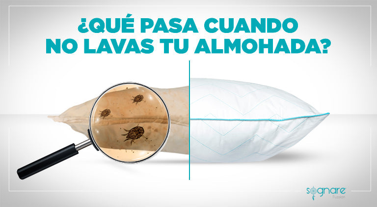 ¿Qué pasa cuando no lavas tu almohada?-Sognare