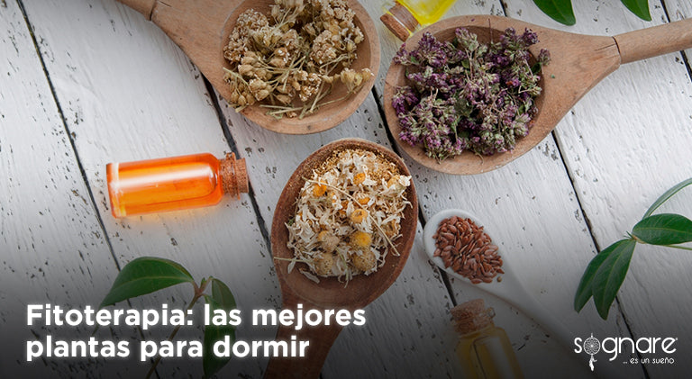 Fitoterapia: las mejores plantas para dormir-Sognare