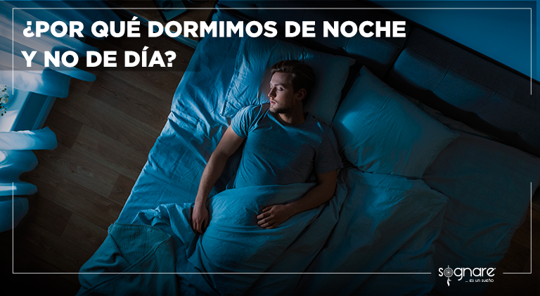 ¿Por qué dormimos de noche y no de día?