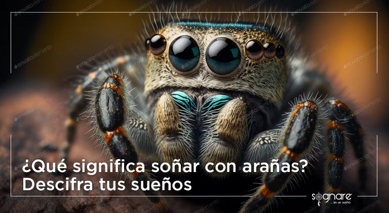 ¿Qué significa soñar con arañas? Descifra tus sueños