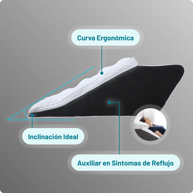 Almohada Sognare® TruComfort