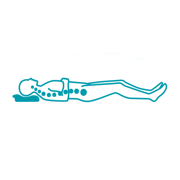 Icono de Spine Holder y el beneficio que este tiene en el producto